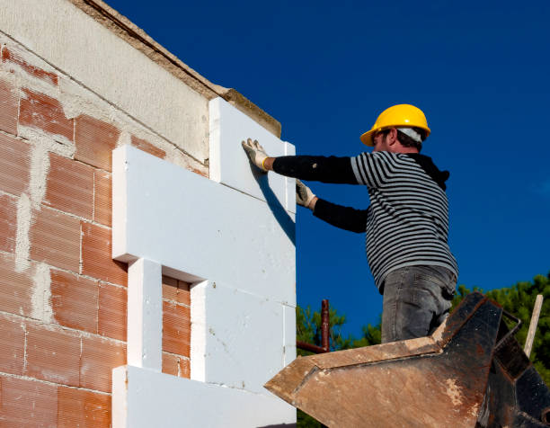 Best Cellulose Insulation in Woodsfield, OH